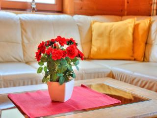 Holiday Village Wildschönau Chalet with Terrace, cleaning included - Niederau - 6