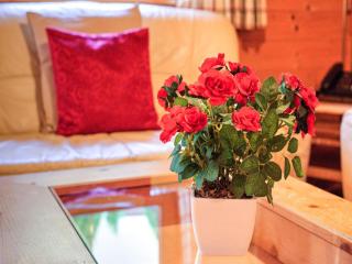 Feriendorf Wildschönau near sauna, cleaning included - 2