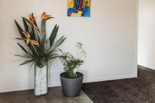 Love It On Lemon - modern townhouse near CBD - 1