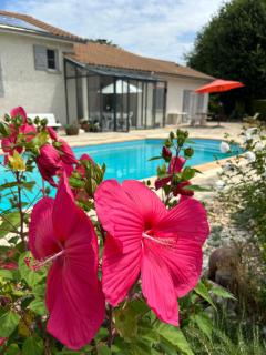 Logement climatisé, piscine, 4 personnes - 4