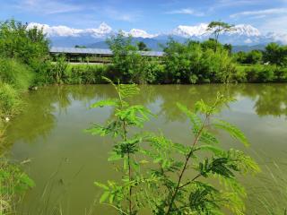 Bhoomi Organics Farmstay - 0