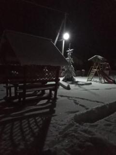 Лісова тиша номер - 2 - 3