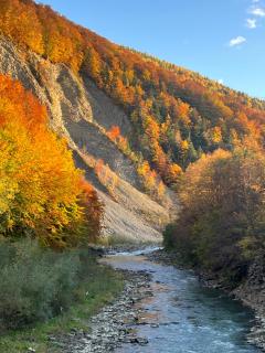 Котедж Гірський - 2