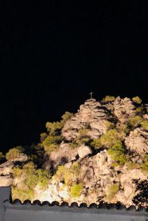 Petit Suite Alegria - 2