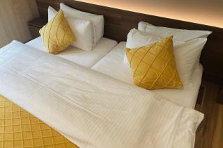 ICHIYU HOTEL ASAKUSA - 7