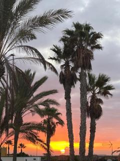 Paraíso del Mar - 8