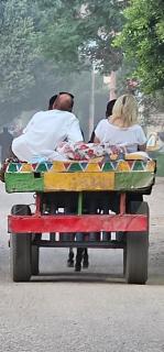 Luxor Adventure Guest House - 4