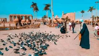 Luxor Adventure Guest House - 6