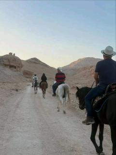 Luxor Adventure Guest House - 8