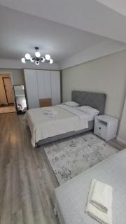 Ботаника . - 0