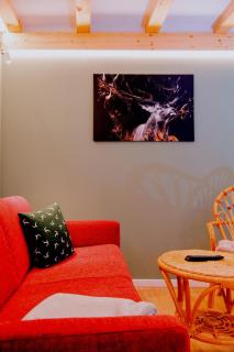 Fewo Märzenberg - Zella-Mehlis - 7