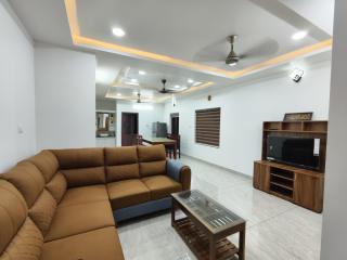 New White Shadow - 8