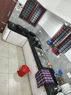 New White Shadow - 4