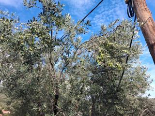 πλατανα Αστρους Αρκαδίας χωριατικο σπίτι για φυση και ηρεμία - 3