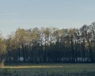 Domek na Kaszubach u Doroty - 8