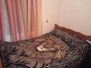 πλατανα Αστρους Αρκαδίας χωριατικο σπίτι για φυση και ηρεμία - 3