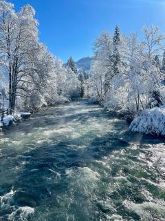 Gstaad little Chalet - 9
