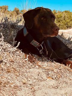 Isola Sarda Appart COSY - 4