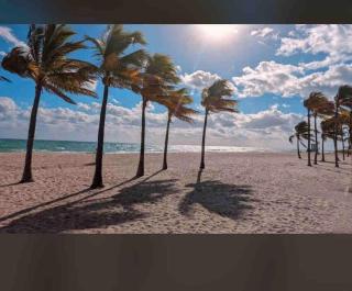 Hollywood Hideaway Spacious 2BR & Private Parking - 9