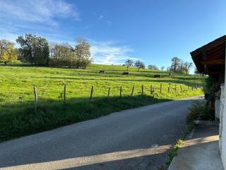 Chambres d'hôtes , Guest house - Chainaz-les-Frasses - 8