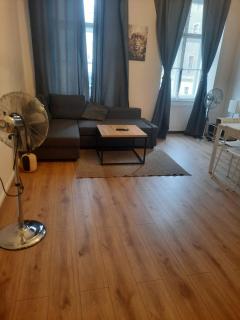 Comfortable 2BR & 1LR Apt in Central Vienna - 9