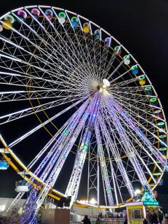 Charmant T2 en bord de mer - 7