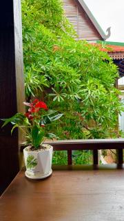 Sala Khmer Moderna - 6