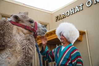 Hotel FAROHAT ONA - 7