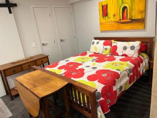 Drumpark on Aitken - Dunedin - 4