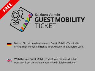 Meri Appartements - 4