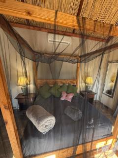 Hidden Gem of Hartees - 1