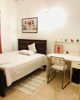 Authentic Sri Lankan Homestay for Global Travelers - 7