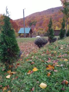 соколів камінь - 7