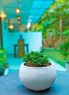 Robarosiya BnB Hikkaduwa - 2