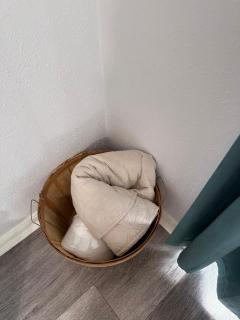 Ocean & Pool Views on seawall - Shoreline Stays 10 - 4