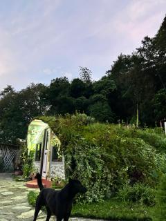 Annapurna Nature Retreat - 6