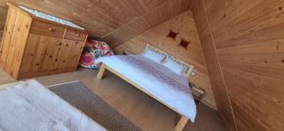 Casa Belvedere Baia Mare - 6