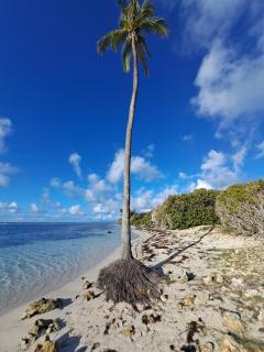 T3 du Levant - Village Pierre & Vacances - 5