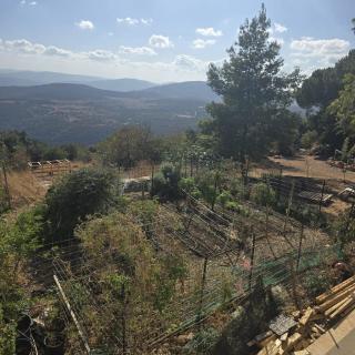 Nature's Way of Living, a healthy way of life! - 1