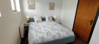 Maison moderne et chaleureuse à Colmar - 9