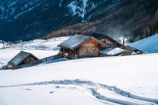 Lärchenherz Wieshof - 8