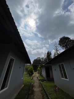 Giri Nele Homestay Chikmangalur - 2