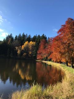 Penzion Kladská - Villa Maruška - 1