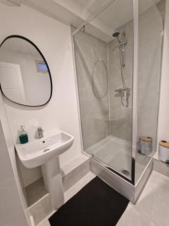 Newly Renovated Room, 1 Double & 1 Single Bed, Private Ensuite, Peckham Rye Zone 2 - 8