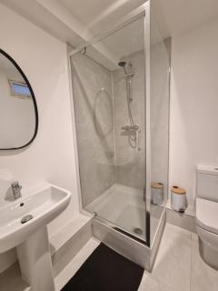 Newly Renovated Room, 1 Double & 1 Single Bed, Private Ensuite, Peckham Rye Zone 2 - 5