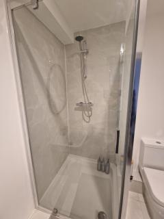 Newly Renovated Room, 1 Double & 1 Single Bed, Private Ensuite, Peckham Rye Zone 2 - 3