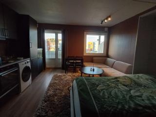 Cozy Studio in Hallset, Trondheim - 2