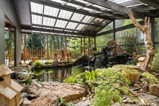 Tranquill 4BR Retreat - 9