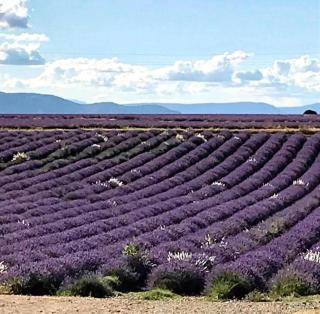 Le Nily Provence, douceur & vue d'exception - 1