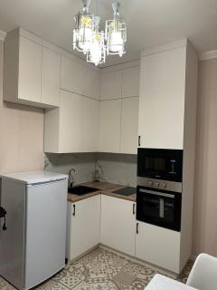 ЖК ТАНДАУ,хан шатыр,рдц,центр нейрохир,материнства и детсво - 7